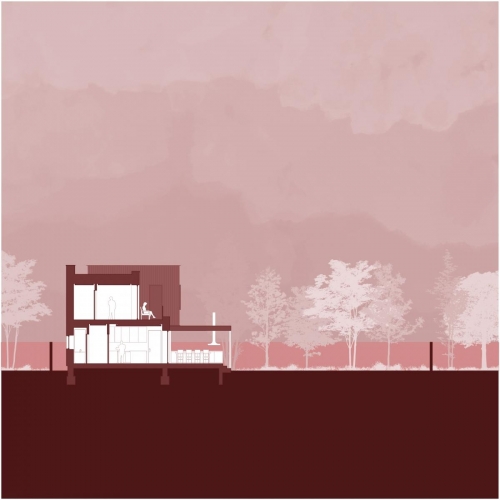 7 sectiune-transversala