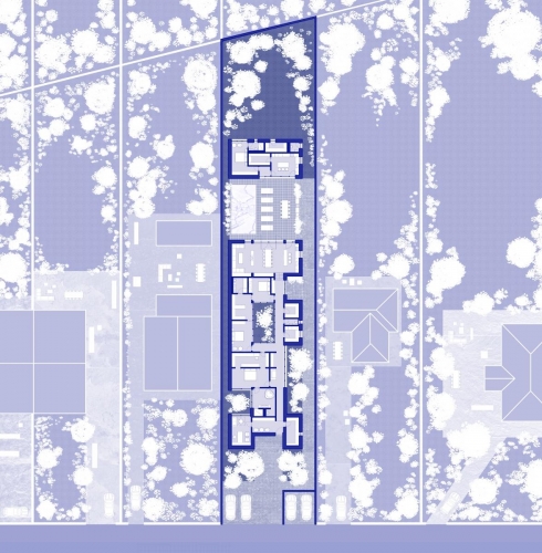005 plan