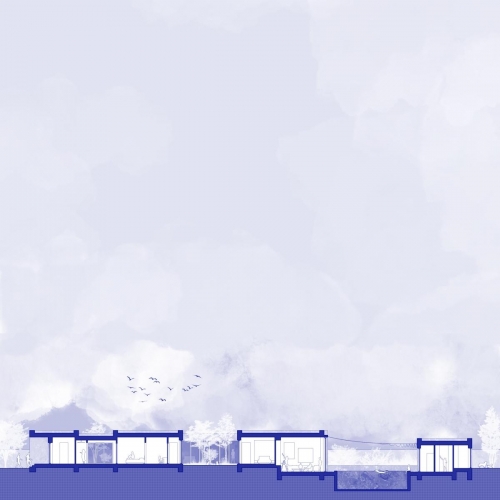 006 sectiune